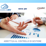Addetto/a al controllo di gestione