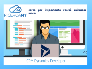 Scopri di più sull'articolo CRM Dynamics Developer.